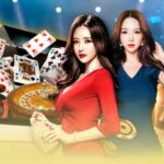 Explore CHOKBET Casino – The Ultimate Online Gambling Experience