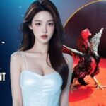 X88 Cockfighting – Experience Quality Live Entertainment